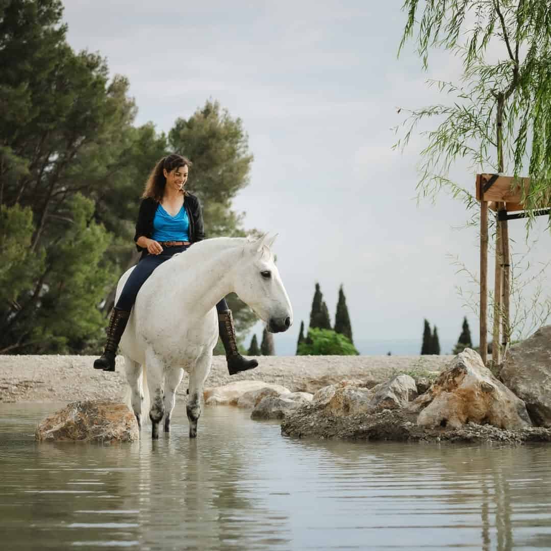 Horse experience at Équideo in the South of France