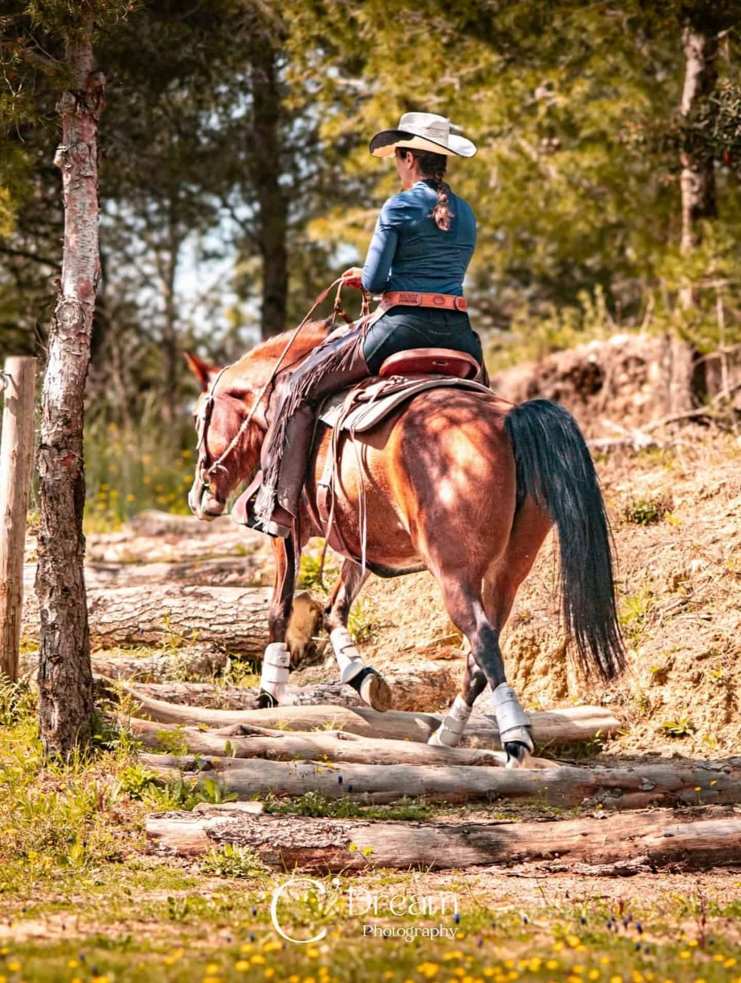 Morning horse experience at Équideo