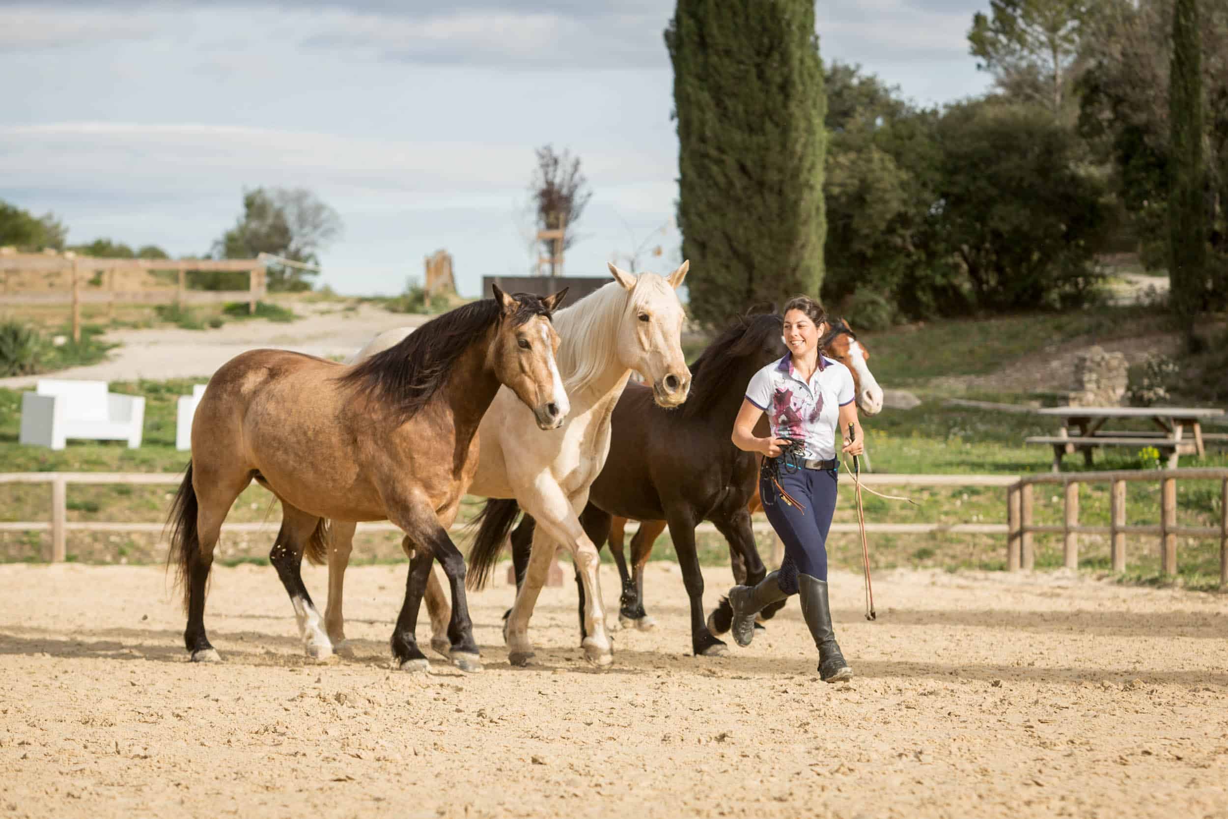 Horse and rider at Équideo in the South of France