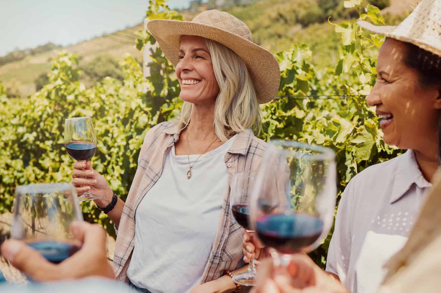 Women enjoying wine together in a vineyard in the South of France